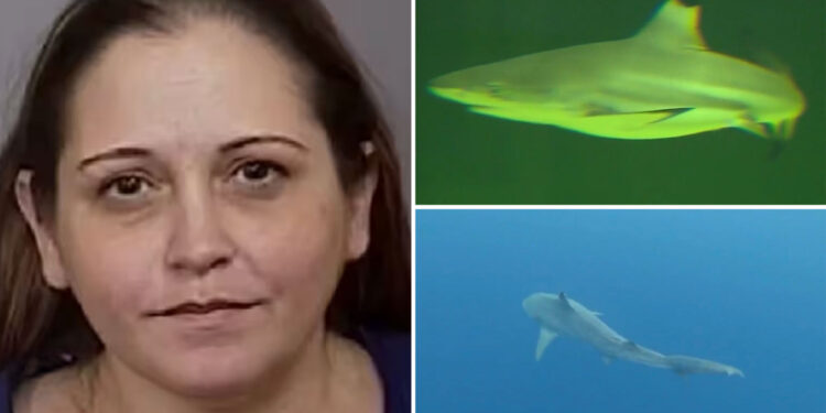 Biology professor charged with stealing $300K meant for shark research