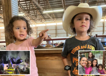 Heartbroken dad of two kids killed by their mom in house fire speaks out