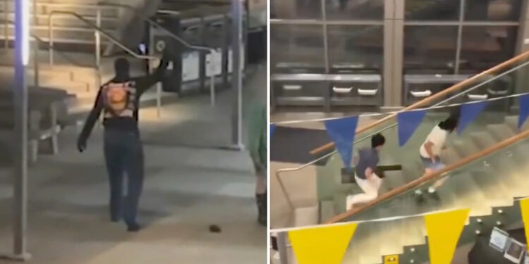 Motorcycle-riding gunman in Tupac shirt ignites panic at UC Berkeley after firing shots outside packed concert hall