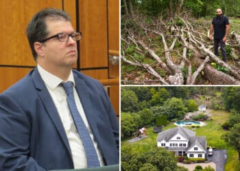 NJ man who chopped neighbor's trees fined $13K — and faces $1M bill