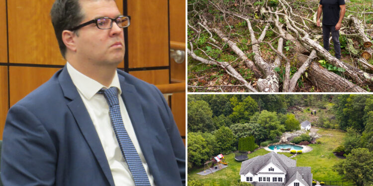 NJ man who chopped neighbor's trees fined $13K — and faces $1M bill