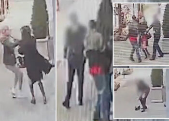 NYC doorman helps woman being robbed by 2 assailants