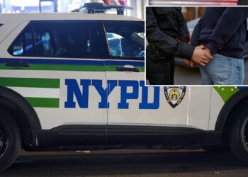 Pint-sized career burglar -- with first bust at 10 years old -- nabbed in string of NYC thefts: sources