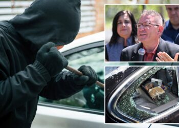 Republican NYC pols want stiffer penalties to curb historic wave of car thefts