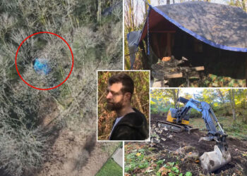 Seattle homeless man Steven Irwin builds cabin in public park months after digging up site with excavator