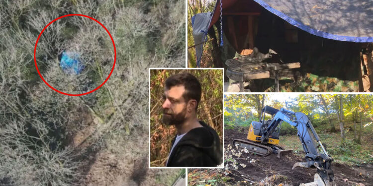 Seattle homeless man Steven Irwin builds cabin in public park months after digging up site with excavator