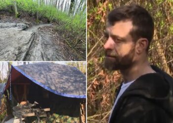 Seattle removes homeless man Steven Irwin's 'ticking time bomb' cabin and gold mine