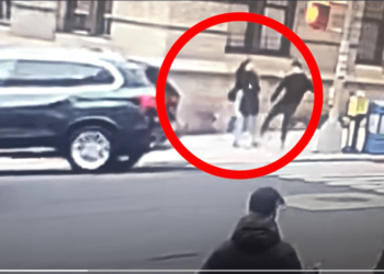 A stranger kicked Upper West Side resident Jen Floyd's dog while she was walking it on Saturday afternoon.