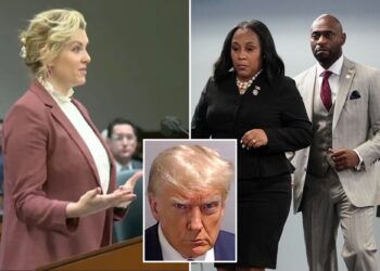 Who is Ashleigh Merchant, lawyer in Trump Georgia case