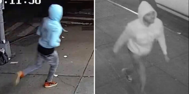 Woman, 20, fights off would-be rapist in latest subway terror after creep punches her in face: cops