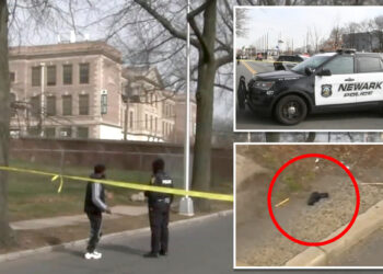 2 teens shot, one critically, outside Newark's West Side HS