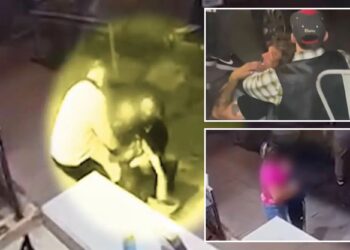 California boy nearly kidnapped in front of parents before good Samaritans step in to help