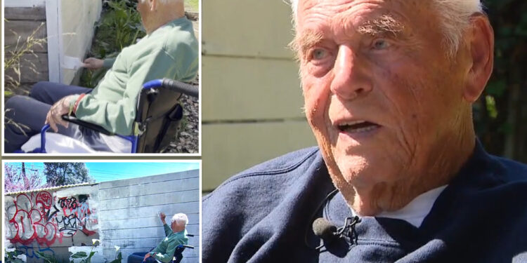 California wheelchair-bound senior, 102, ordered to scrub graffiti off his property or face $1.2K fine from the City of Oakland