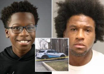Chicago boy, 11, dies protecting mom ex-boyfriend day after he was released from prison: officials