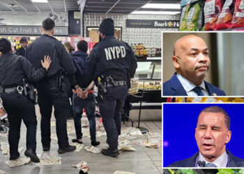 Ex-gov torches NY Assembly Speaker Carl Heastie for nixing shoplifter crackdown