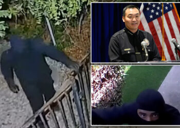 Los Angeles police forms task force to counter foreign gangs exploiting US visa system to target luxury homes