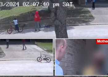 Mom of 12-year-old who allegedly stabbed woman in front of younger brother apologizes to victim as authorities reveal criminal charge