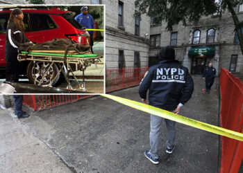 NYC twin 5-year-olds who were found vomiting, foaming at mouth were smothered to death: ME