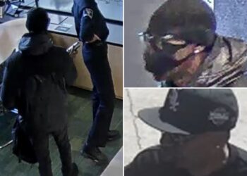 Robber, Sherrod Young, 73, allegedly holds up NYC bank