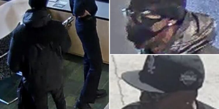 Robber, Sherrod Young, 73, allegedly holds up NYC bank