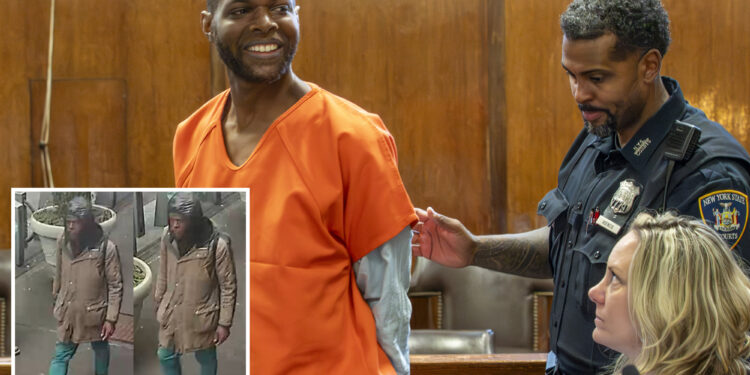 Serial NYC attacker who tossed scalding water at 3 women, 1 man, grins broadly in court