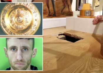 Thief jailed for stealing 'priceless' Biritsh museum artifacts