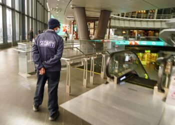 With rampant shoplifting, progressives are killing stores where people need them most