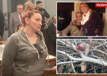 Woman charged in Long Island dismemberment case behind bars for theft days after release