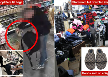 eBay and Facebook Marketplace fuel NYC's shoplifting economy