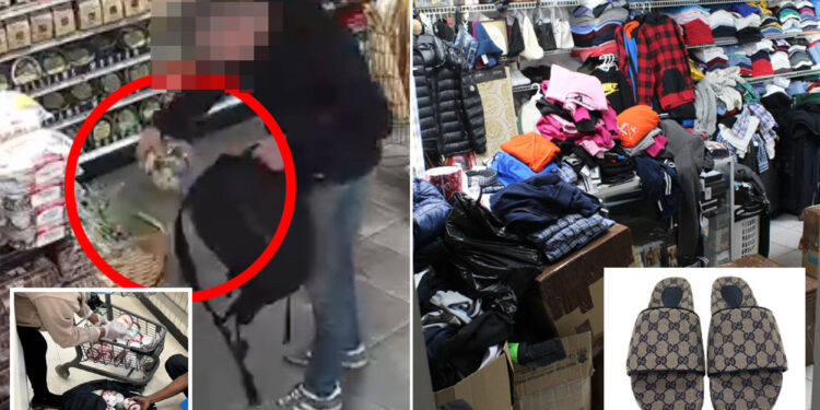 eBay and Facebook Marketplace fuel NYC's shoplifting economy