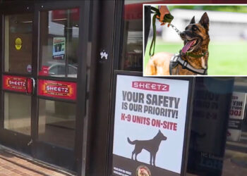 3 North Carolina Sheetz stations deploy K-9 units as security against crime
