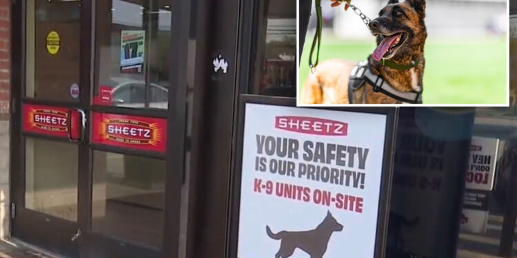 3 North Carolina Sheetz stations deploy K-9 units as security against crime