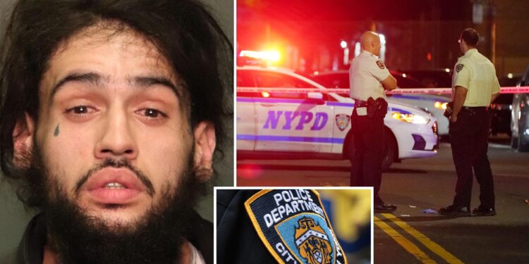 Brazen NYC gangbanger Emmanuel Santiago, who's already racked up 9 arrests this year, keeps getting cut loose due to woke bail reform: sources