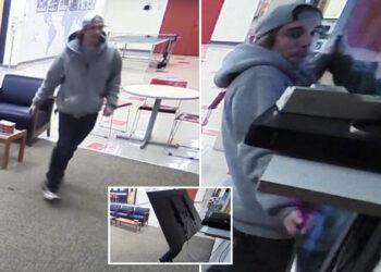 Bro steals giant TV off wall at St. John's University's Staten Island campus: video