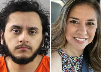 Elementary school teacher stabbed to death by pre-med student son in Florida because she 'got on his nerves': report