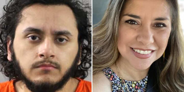 Elementary school teacher stabbed to death by pre-med student son in Florida because she 'got on his nerves': report