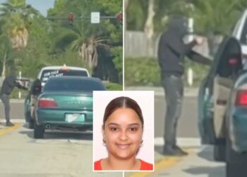 Florida woman found dead in burnt-out car after caught-on-camera carjacking: report