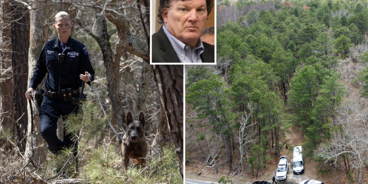 Gilgo Beach murder investigation sparks new search of woods on Long Island