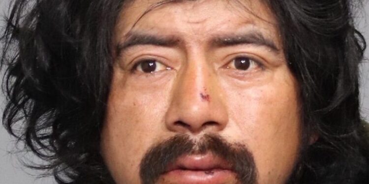 Diego Morales, 37, was nabbed over the weekend for allegedly using a box cutter to threaten a good Samaritan who tried to stop him from attacking a woman on an Upper Manhattan train – snarling, “I cut you now” in Spanish, cops and law enforcement sources said Monday.