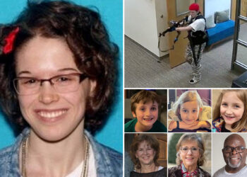 Lawyer argues Audrey Hale writings should be released