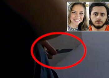 Moment pre-med student hides knife behind back before stabbing mom '70 times'