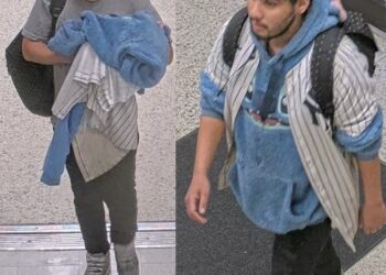 The 33-year-old woman was slugged in an unprovoked attack by a menace wearing wearing a "Stitch" shirt.