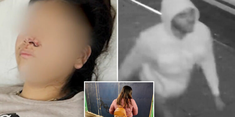 NYC woman in attempted Queens subway station rape speaks out