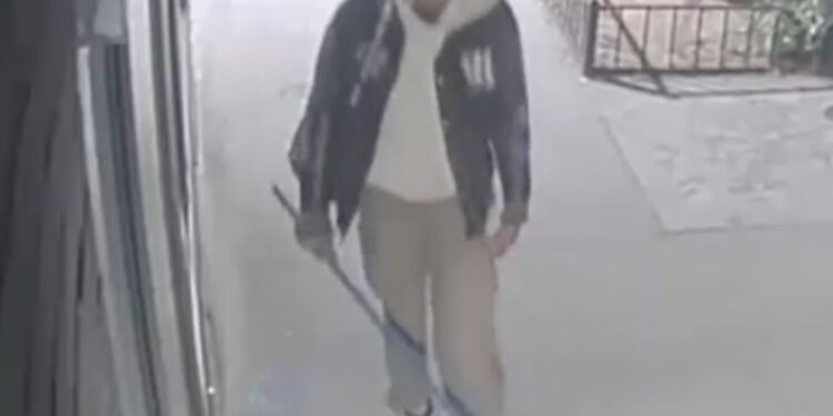 The New York City Police Department is asking for the public's assistance in identifying the suspect who whacked a woman with a hockey stick in East Village.