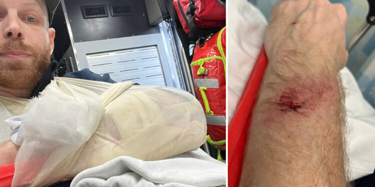 Nunchuck-wielding maniac attacks podcaster, is promptly cut loose by NYC judge