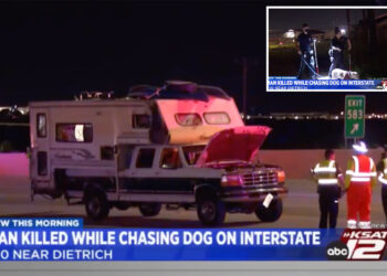 San Antonio man killed while chasing dogs on interstate