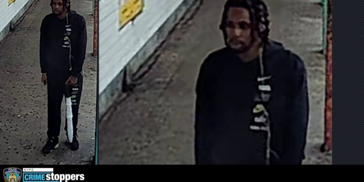 The suspect began to argue with the victim on the 169th Street platform before punching him twice in the face, cops said.