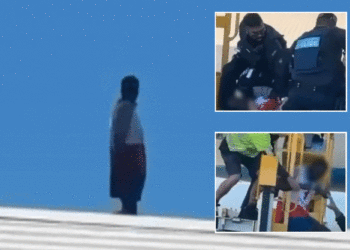 Sydney airport intruder runs on tarmac before trying to board flight