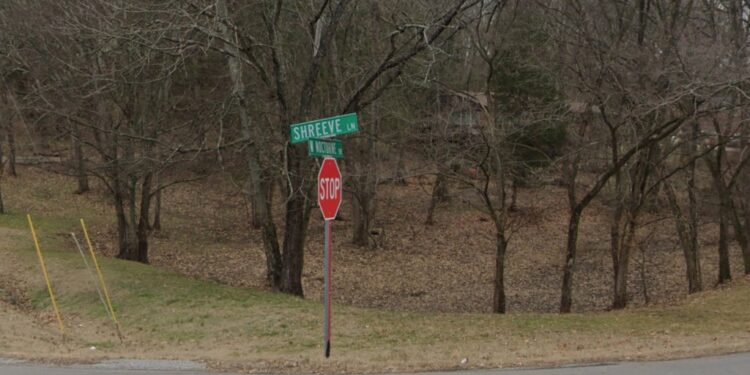 A homeowner shot an armed man attempting to climb through his kitchen window on Shreeve Lane in Nashville.