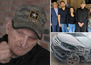 Veteran, 81, punched and carjacked while delivering pizzas in Chicago